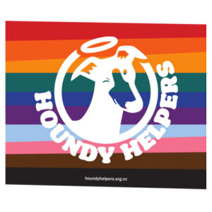 Pride 2026 - Stripes (Ringer) ON SPECIAL Design